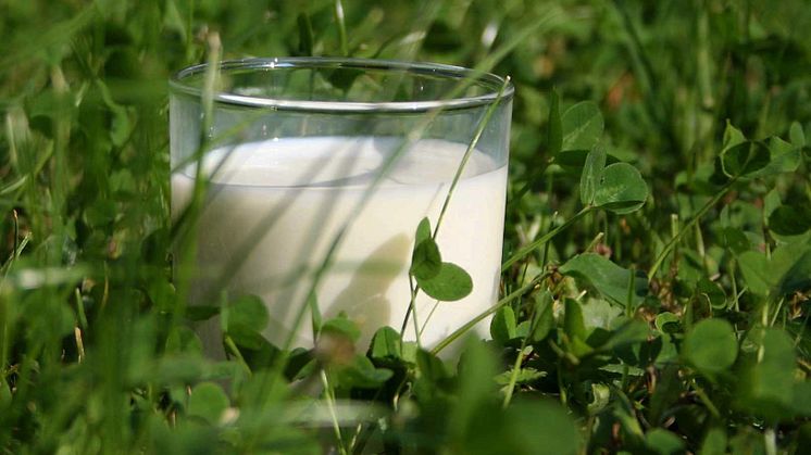 Arla Foods amba confirms hold for July milk price