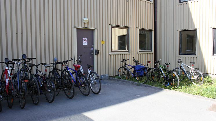 ebm-papst firar hållbarhetskampanjen GreenDay för femte året i rad