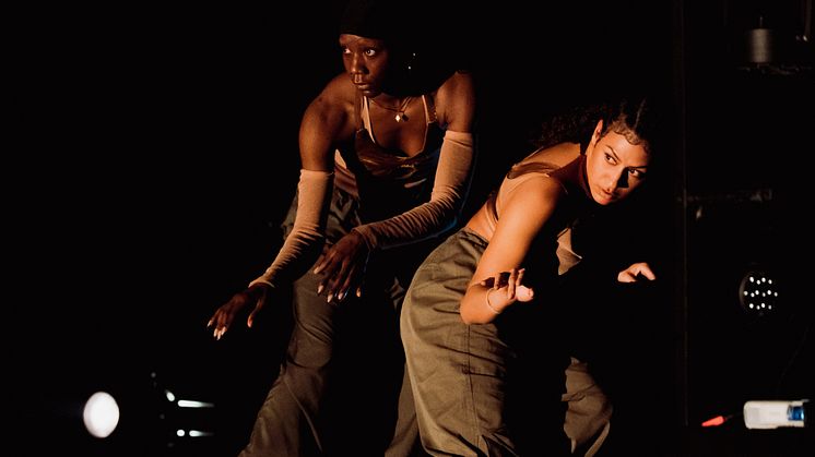 Company Nicolas Huchard - The barefoot diva