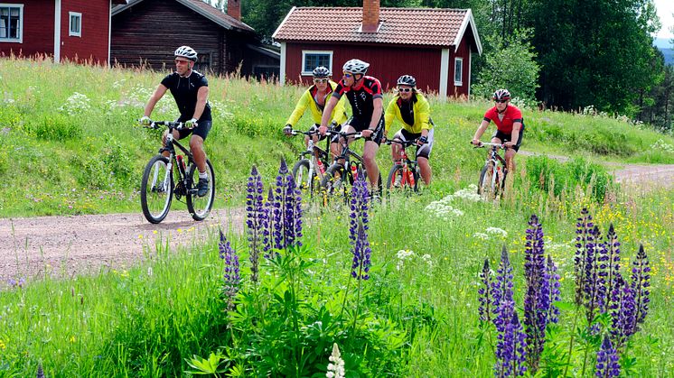 Nyheter inför CykelVasan – miljonbelopp har investerats i VasaloppsArenan