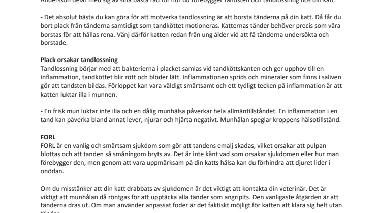 Så undviker du tandsjukdomar hos katten 