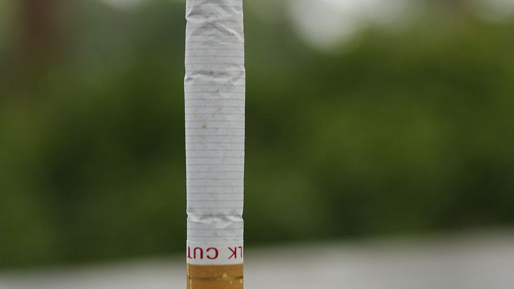 cigar-4318959_1920