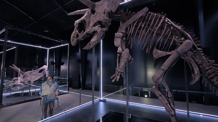 Evolutionsmuseet