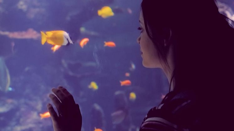 RS13580_Girl_Aquarium_SOME.jpg