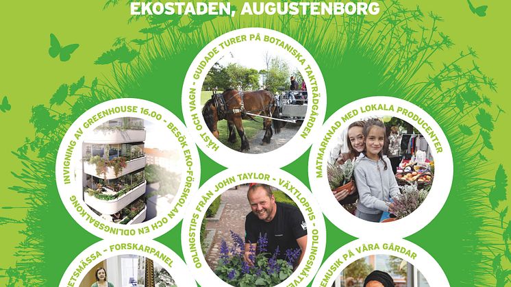 Affisch Ekostadens dag och invigning Greenhouse