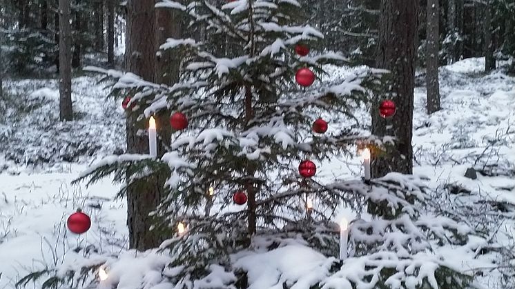 Regionarkivets nyhetsbrev december 2019