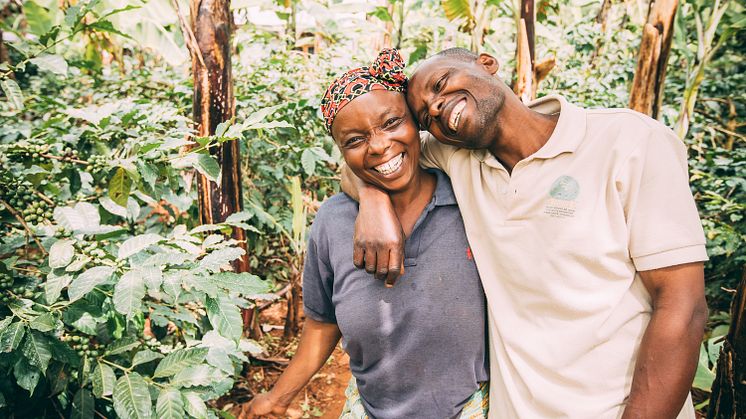 International Coffee Partners projects reached almost 49,000 smallholder farmers in 2019