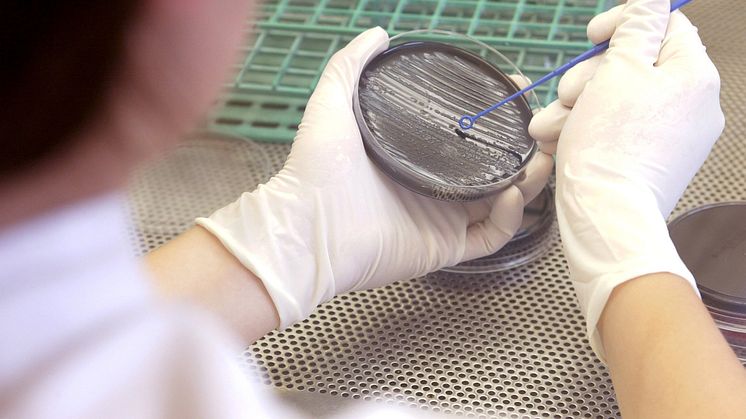Hyresgäster klagade på kallt varmvatten - en insjuknade i legionella 
