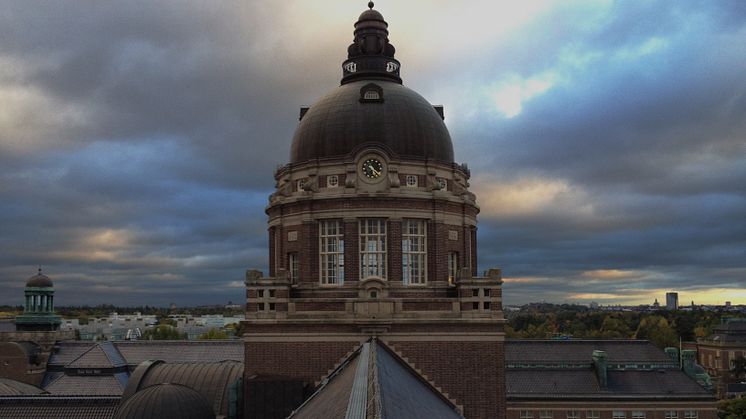 Naturhistoriska riksmuseet, tornet