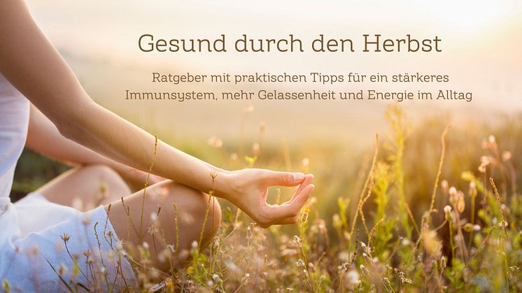 Gesund durch den Herbst: Unsere Ratgeber für ein besseres Immunsystem, mehr Ausgeglichenheit und Energie