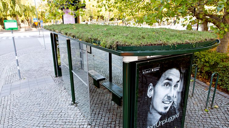 Sedumtak på väderskydd Malmö