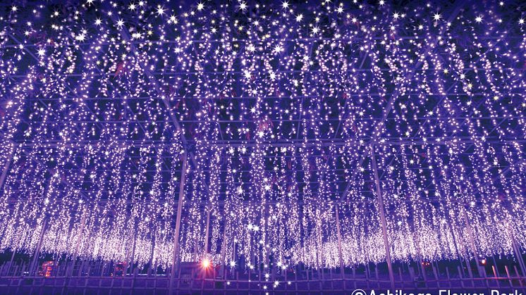A selection of five special winter illumination spots that can be covered with a day trip or an overnight trip from Tokyo
