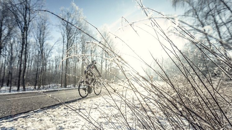 GripGrab-Winter-Road-11.jpeg