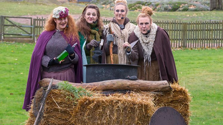 Pressinbjudan – En smygtitt på Kolmårdens kusliga Halloween