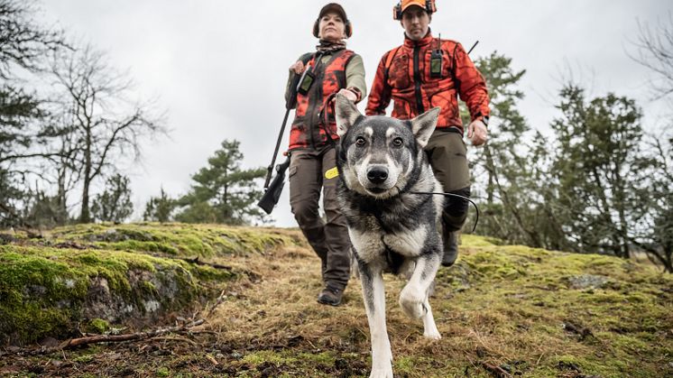 GARMIN® PRÆSENTERER ALPHA® 200i: NÆSTEGENERATIONSPORING OG -TRÆNING TIL BRUGSHUNDE