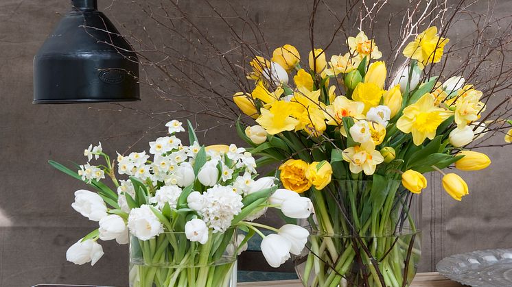 Gult är påskens färg framför andra. Blommor i nyanser av gult skapar härlig påskstämning.  Foto: iBulb
