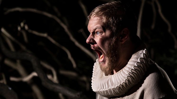 Jag, Malvolio