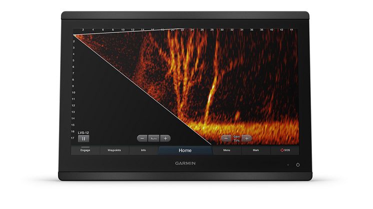 Panoptix LiveScope LVS12 Forward View