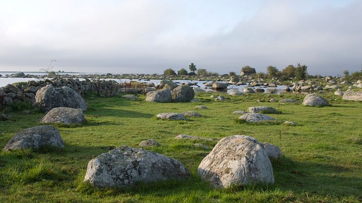Edenryds Kustled vid Östersjön