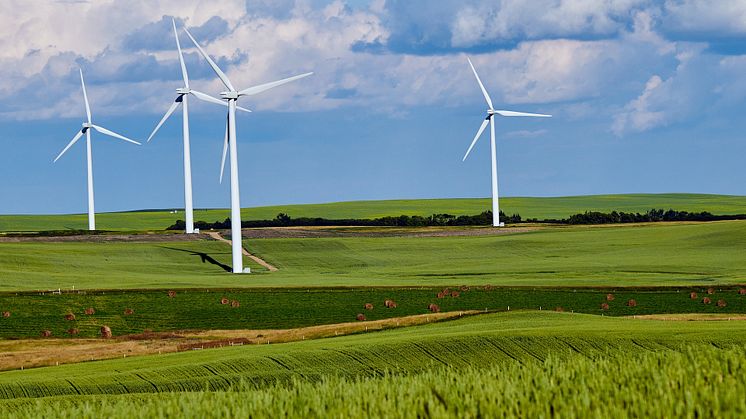 TEC har investeret i 100% vedvarende energi