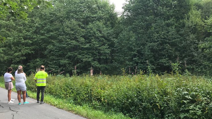 Ny rasteplass langs Tokerudbekken