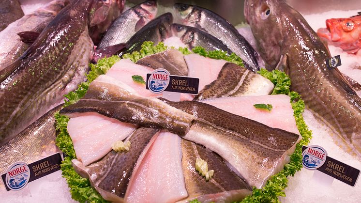 Der norwegische Skrei ist in Hamburg angekommen