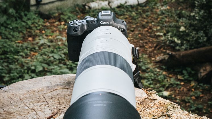RF 200-800mm F6.3-9 IS USM_ambient-Get-Inspired-64