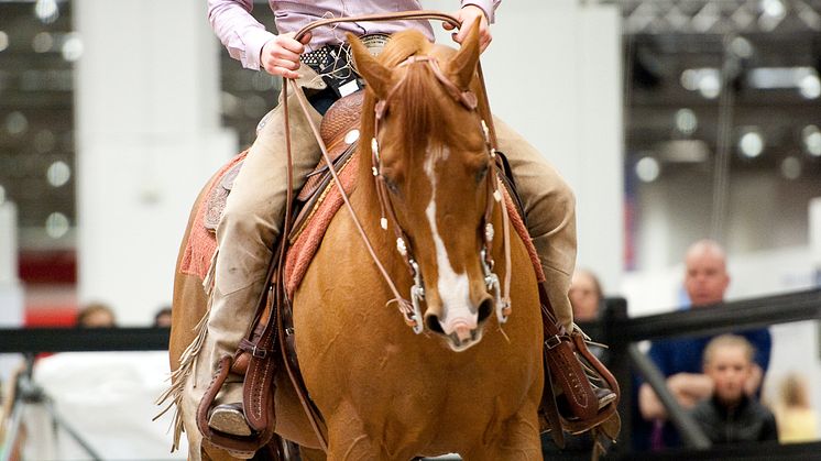 EuroHorse 2013