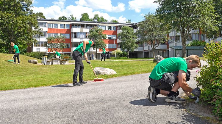Minibovärdar på Willhem