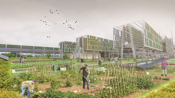 Architecture students reveal urban farm