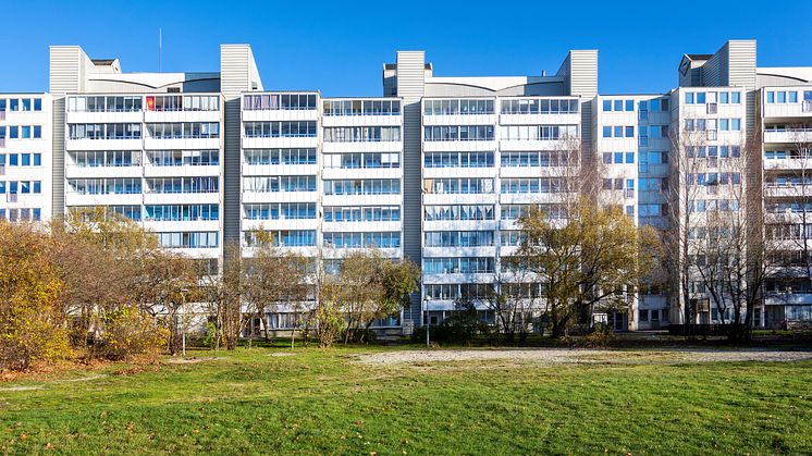 Taxeringsrevisorn 2, bild 2