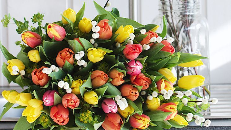 Fargerike tulipaner til Morsdag