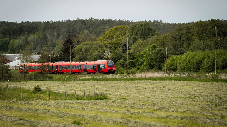 Regeringens nya regler snedvrider konkurrensen