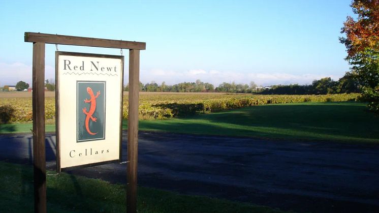 Red Newt Cellars