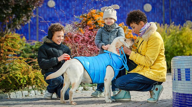 Hundjacka AiryVest