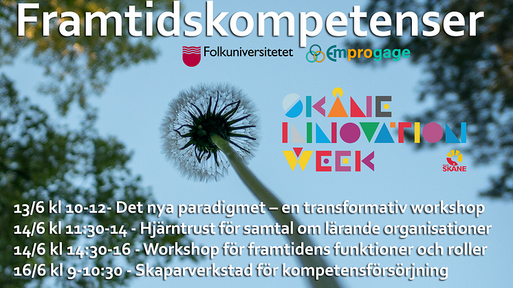 Framtidskompetenser-program