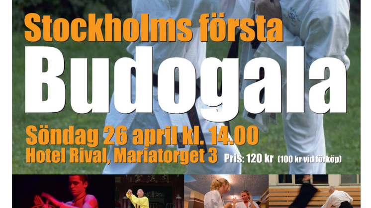 Programblad Budo- och kampsportgala på Rival - Hela