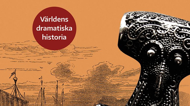 Vikingarnas historia av Dick Harrison