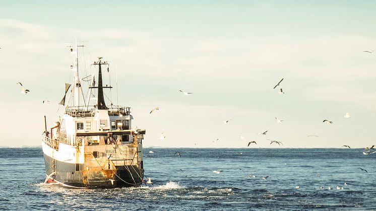 ​EU och Norge överens om fiskekvoter för 2016