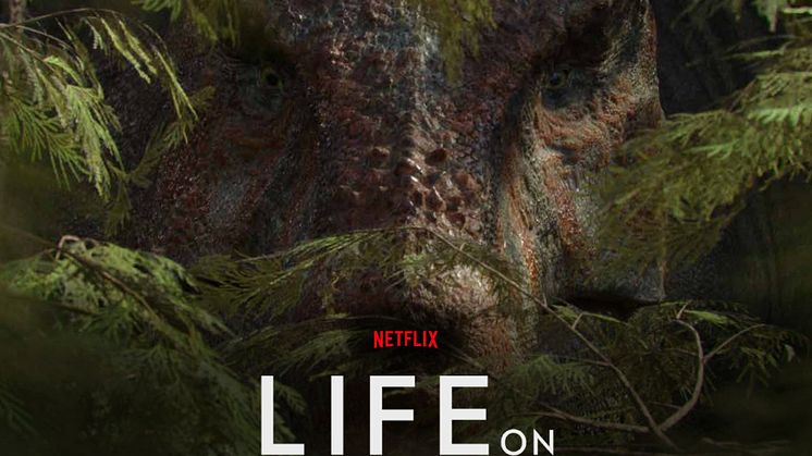 Life on Our Planet premieres on Netflix on Wednesday 25 October. Image courtesy of Silverback Films/Netflix