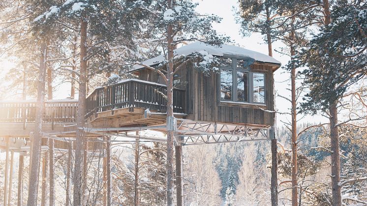 Prestigefyllt pris till Granö Beckasin