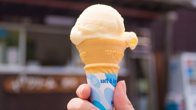 Ice Cream at Kotoku Farm