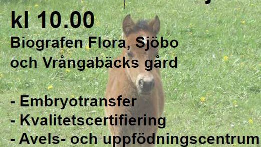 Svensk hästavel för framtiden: seminarium i Sjöbo
