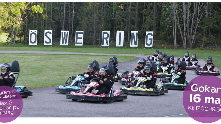 Gokart på ÖS WE Ring