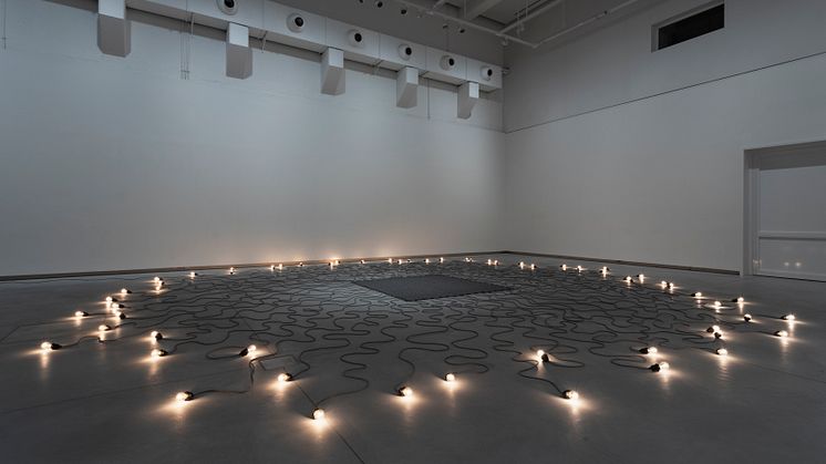 Mona Hatoum-0150