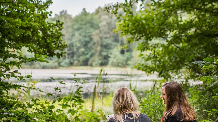 Koppla av och njut i naturen