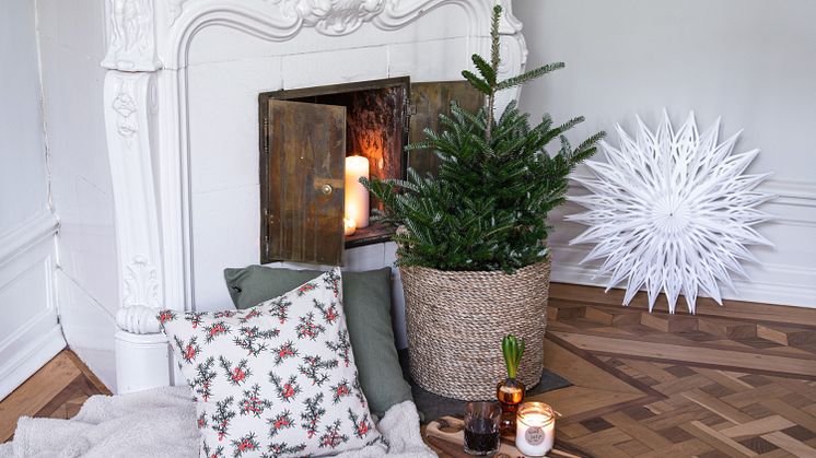 Första delen av Lagerhaus magiska julkollektion - Advent och novembermys
