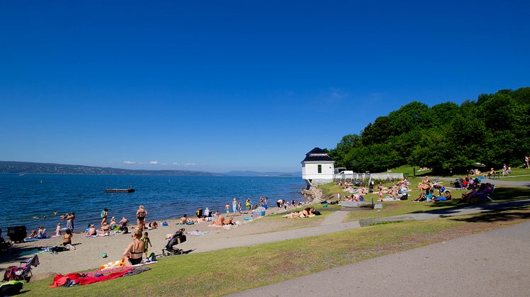 Hvervenbukta sommer 2020