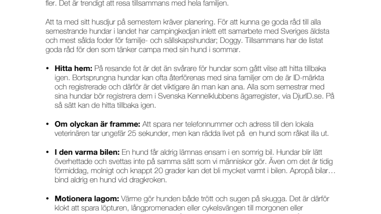 10 tips för dig som semestrar med din hund i sommar