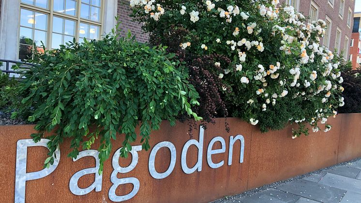 pagoden--leena-magi.jpg